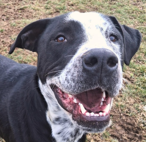 Screenshot 2026-02-27 230519.png